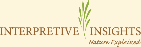 Interpretive Insights - nature explained